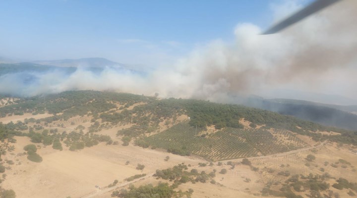 İzmir’in Foça ilçesinde çıkan orman yangını kontrol altına alındı