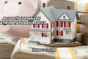 Arjantin'de Nelere Yatırım Yapılabilir 2025