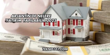Arjantin'de Nelere Yatırım Yapılabilir 2025