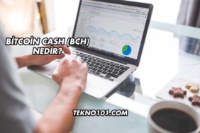 Bitcoin Cash (BCH) Nedir?