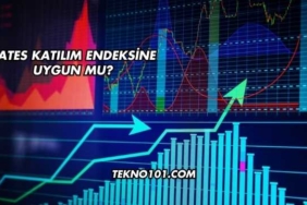 Cates Katılım Endeksine Uygun mu?