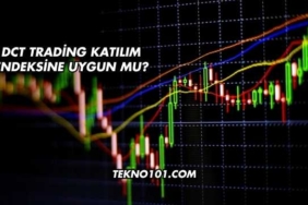 DCT Trading Katılım Endeksine Uygun mu?