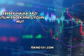 Ebebek Halka Arzı Katılım Endeksine Uygun mu?