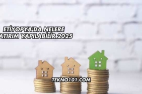 Etiyopya'da Nelere Yatırım Yapılabilir 2025