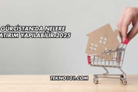Gürcistan'da Nelere Yatırım Yapılabilir 2025