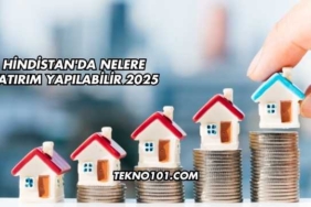 Hindistan'da Nelere Yatırım Yapılabilir 2025