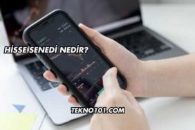 Hisse Senedi Nedir?