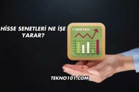 Hisse Senetleri Ne İşe Yarar?
