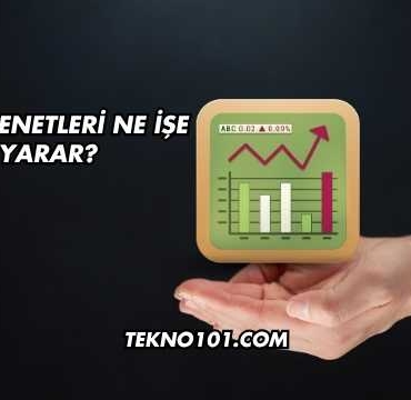 Hisse Senetleri Ne İşe Yarar?