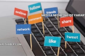 Medya Nedir? Ne İşe Yarar?
