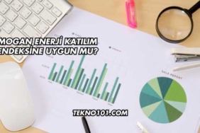 Mogan Enerji Katılım Endeksine Uygun mu?
