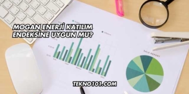 Mogan Enerji Katılım Endeksine Uygun mu?
