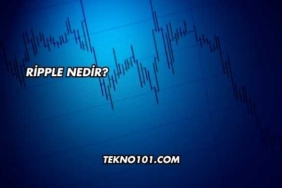 Ripple Nedir?