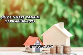 Şili'de Nelere Yatırım Yapılabilir 2025