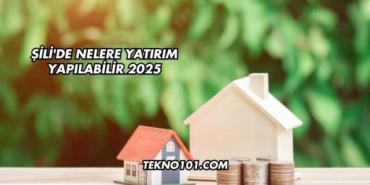 Şili'de Nelere Yatırım Yapılabilir 2025