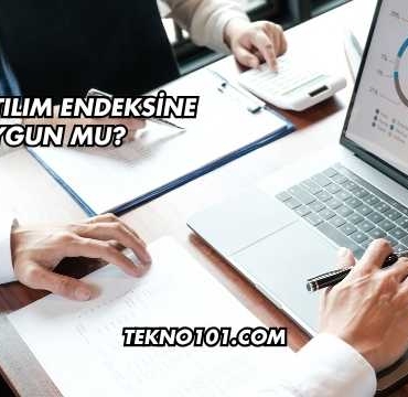 THY Katılım Endeksine Uygun mu?