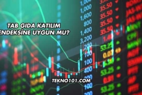 Tab Gıda Katılım Endeksine Uygun mu?