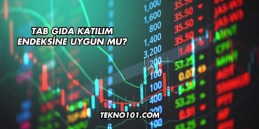 Tab Gıda Katılım Endeksine Uygun mu?