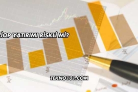 VİOP Yatırımı Riskli mi?