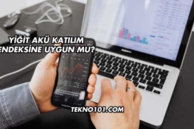 Yiğit Akü Katılım Endeksine Uygun mu?