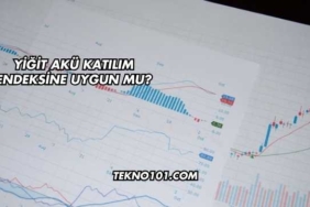 Yiğit Akü Katılım Endeksine Uygun mu?