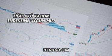 Yiğit Akü Katılım Endeksine Uygun mu?