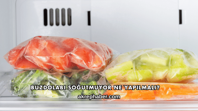 Buzdolabı Soğutmuyor Ne Yapılmalı?