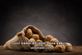 Ceviz Hangi Bölgede Daha Karlı?