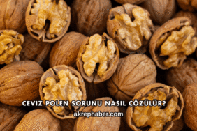 Ceviz Polen Sorunu Nasıl Çözülür?
