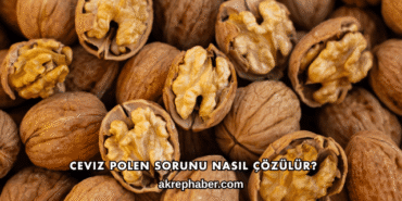 Ceviz Polen Sorunu Nasıl Çözülür?