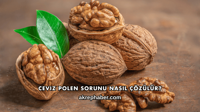 Ceviz Polen Sorunu Nasıl Çözülür?