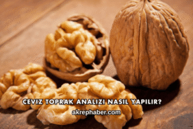 Ceviz Toprak Analizi Nasıl Yapılır?