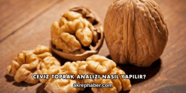 Ceviz Toprak Analizi Nasıl Yapılır?
