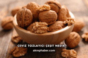 Ceviz Tozlayıcı Çeşit Nedir?
