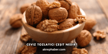 Ceviz Tozlayıcı Çeşit Nedir?