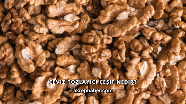Ceviz Tozlayıcı Çeşit Nedir?