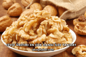 Ceviz Üretimi En Çok Hangi İlde Yapılır?