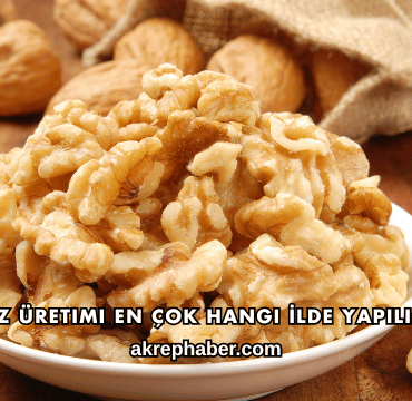 Ceviz Üretimi En Çok Hangi İlde Yapılır?