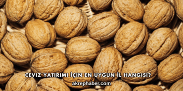 Ceviz Yatırımı İçin En Uygun İl Hangisi?