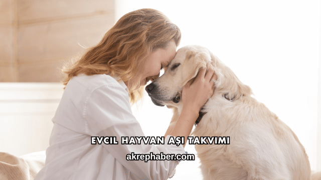 Evcil Hayvan Aşı Takvimi