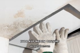 Evde Küf Neden Oluşur?