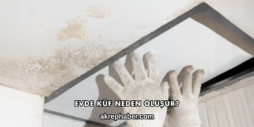 Evde Küf Neden Oluşur?
