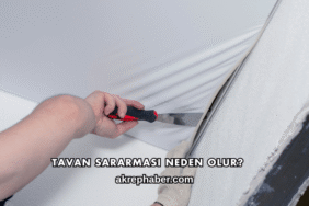 Tavan Sararması Neden Olur?