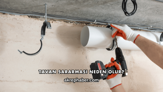 Tavan Sararması Neden Olur?